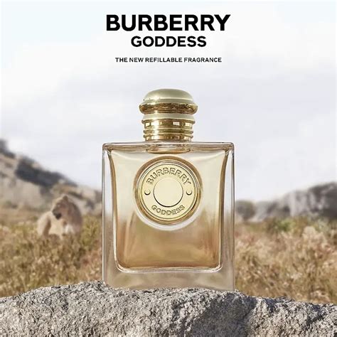 burberry goddess nocibe|Goddess Burberry perfume .